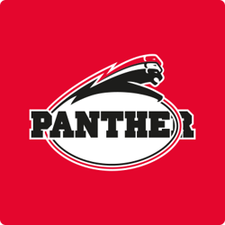 Düsseldorf Panther