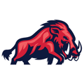 Logo der ifm Razorbacks Ravensburg