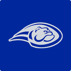Pforzheim Wilddogs