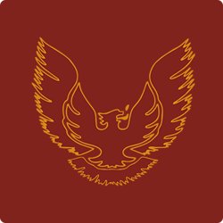 Regensburg Phoenix
